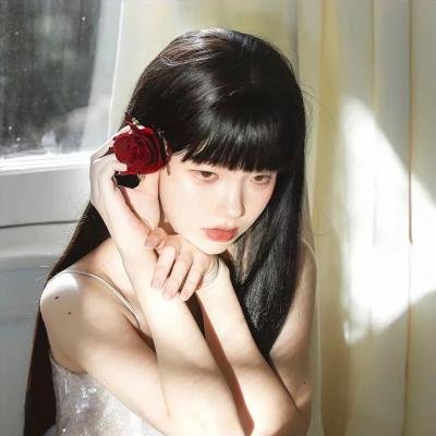 芬妮的旅程